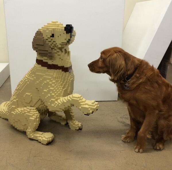 Nathan Sawaya's Dog nathan sawaya dog