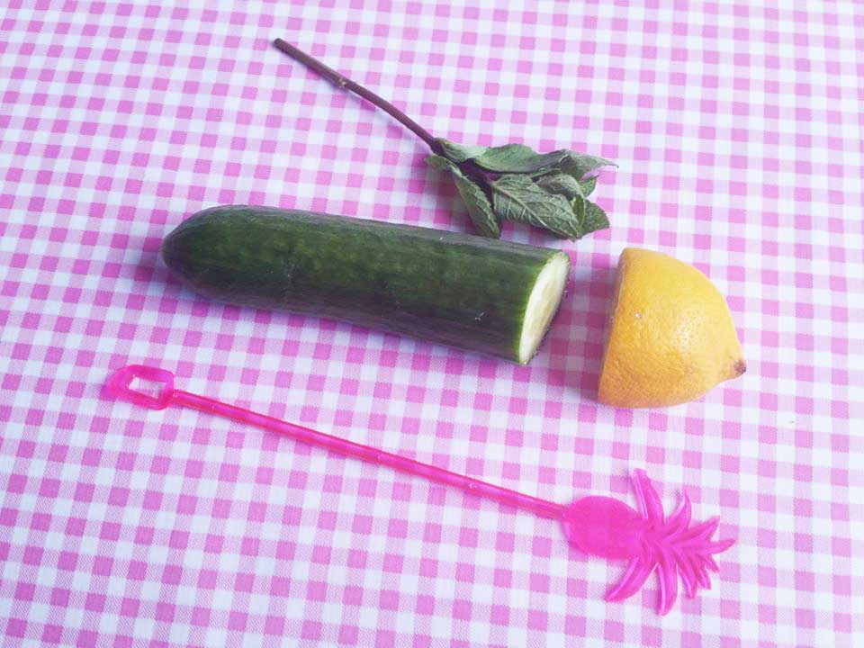 komkommer-munt-smoothie-ingredienten