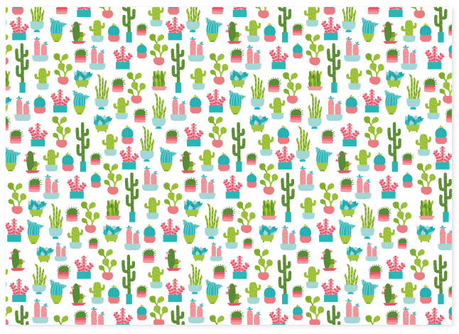 cactus inpakpapier