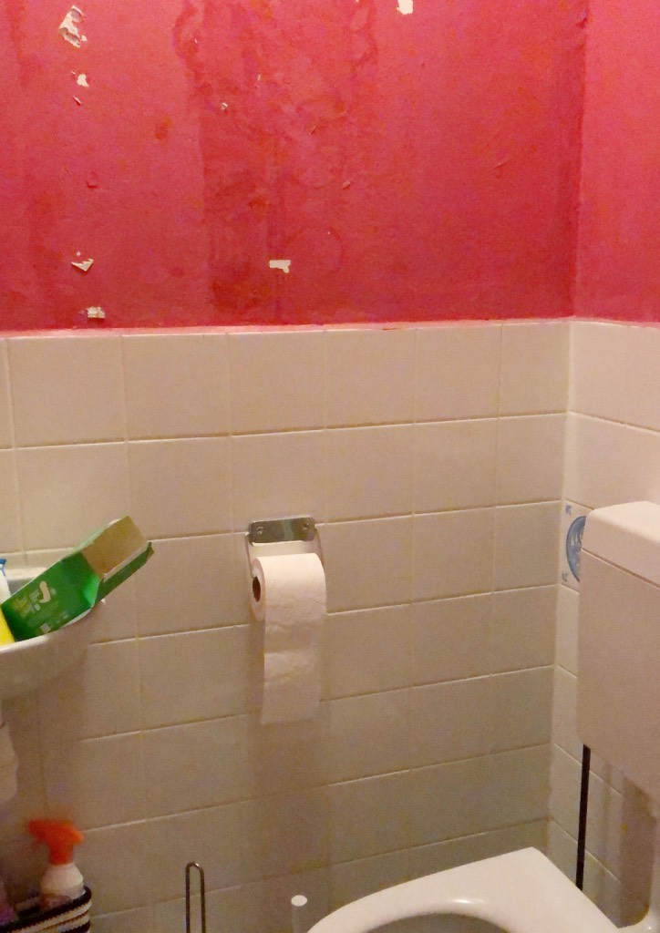 Sceptisch Leven van goedkoop Muren op Toilet schilderen in 3 kleuren